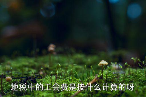 交地稅時(shí)的工會(huì)經(jīng)費(fèi)如何計(jì)算方法，地稅中的工會(huì)費(fèi)是按什么計(jì)算的呀