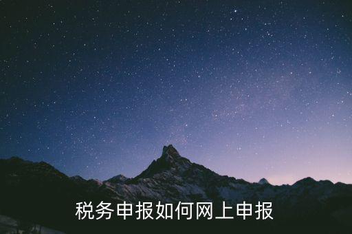 網上系統(tǒng)如何申報稅，稅務申報如何網上申報