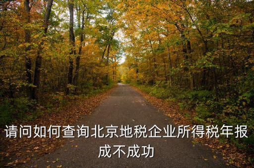 請(qǐng)問(wèn)如何查詢北京地稅企業(yè)所得稅年報(bào)成不成功