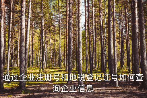 企業(yè)稅務信息如何查詢，通過企業(yè)注冊號和地稅登記證號如何查詢企業(yè)信息