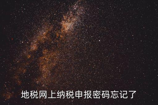 網(wǎng)報(bào)如何復(fù)制密碼，地稅網(wǎng)上納稅申報(bào)密碼忘記了