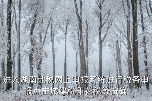 湖南省地稅局個人如何注冊，湖南地稅網(wǎng)上申報系統(tǒng)