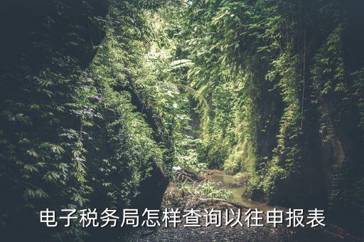 寧波地稅如何查往期申報(bào)信息，怎樣查看地稅網(wǎng)上申報(bào)記錄