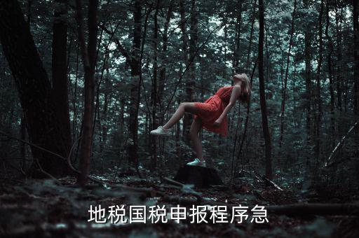 國稅地稅如何辦理流程，我想知道申報國稅地稅的流程包括前期需要什么資料期間如何