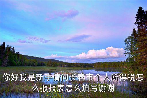 長(zhǎng)春國(guó)稅如何報(bào)稅，長(zhǎng)春市地稅申報(bào)