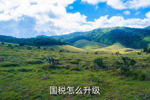 國稅系統(tǒng)如何適應(yīng)新時代，如何做好新形勢下的國稅工作