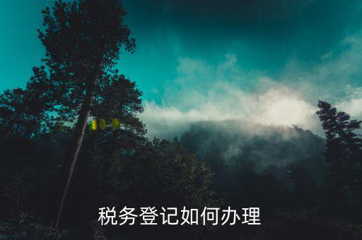 荊州如何辦理公司稅務登記，稅務登記如何辦理