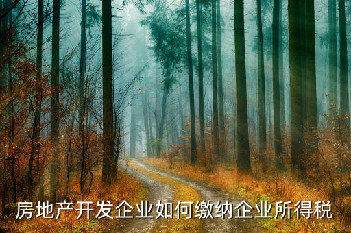 房地產(chǎn)企業(yè)異地開發(fā)如何納稅，急房地產(chǎn)開發(fā)企業(yè)如何交稅