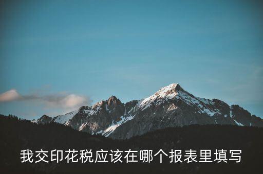 網(wǎng)上印花稅表如何填寫，印花稅申報(bào)報(bào)表要怎么填啊
