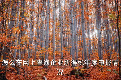 企業(yè)稅務信息如何查詢系統(tǒng)，通過企業(yè)注冊號和地稅登記證號如何查詢企業(yè)信息