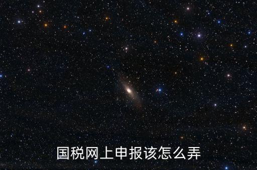 國稅新系統(tǒng)如何申報(bào)，國稅網(wǎng)上申報(bào)該怎么弄