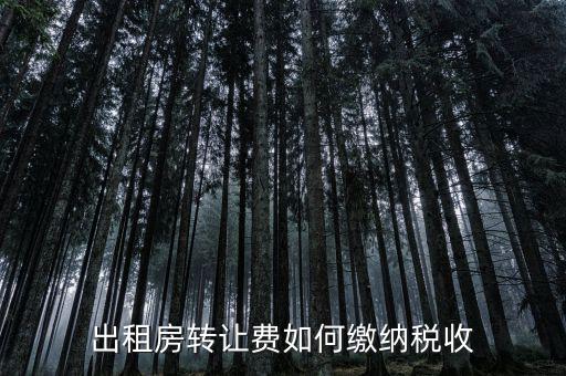 房屋轉(zhuǎn)租如何繳增值稅，房屋轉(zhuǎn)租怎樣交稅