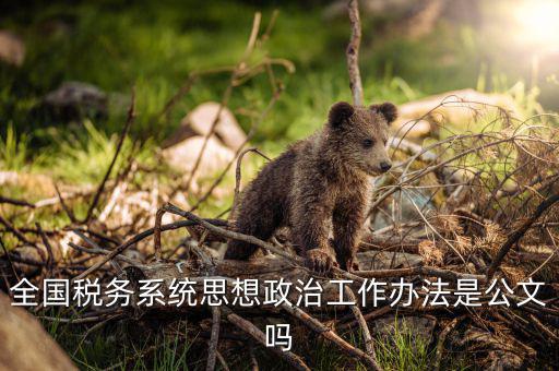 稅務部門如何思想政治工作，在稅務工作中應該樹立什么樣的精神