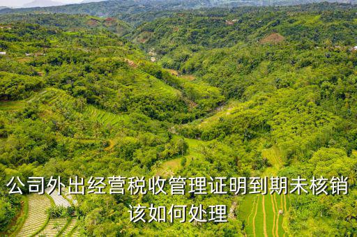 未核銷外經(jīng)證如何查詢，外經(jīng)證有效期在網(wǎng)上怎么查詢