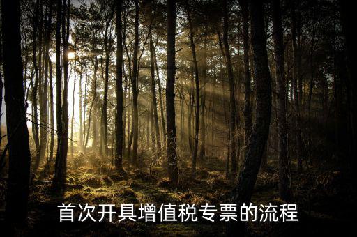 如何申請增值稅專票，怎么申辦專用發(fā)票