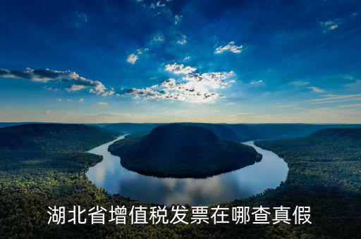 如何查詢湖北省增值稅發(fā)票真?zhèn)?，湖北省增值稅發(fā)票在哪查真假