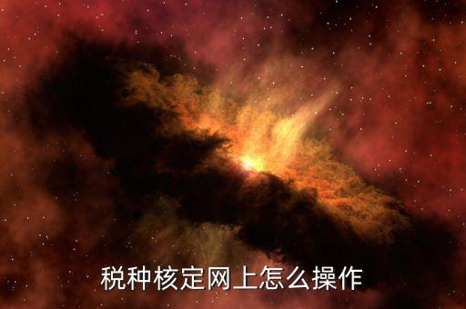 如何稅局網(wǎng)站上開通稅種，稅種認定在電子稅務(wù)局怎么操作