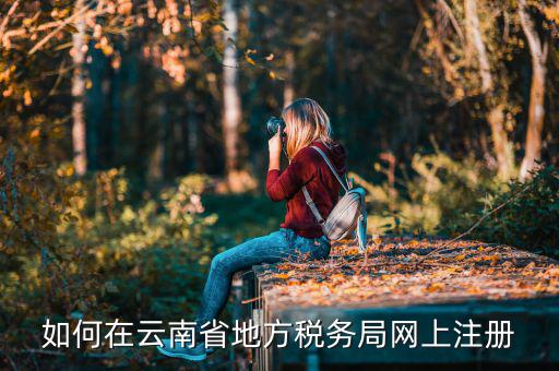 如何進(jìn)入云南稅務(wù)系統(tǒng)上報稅，如何在云南省地方稅務(wù)局網(wǎng)上注冊