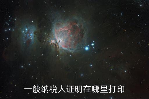 如何打印一般納稅人證明文件，一般納稅人資格認(rèn)定表如何在網(wǎng)上打印文書