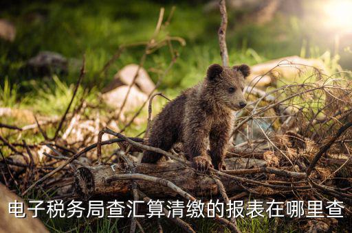 上海如何查詢匯算清繳，所得稅匯算清繳報告在金稅盤哪里查詢