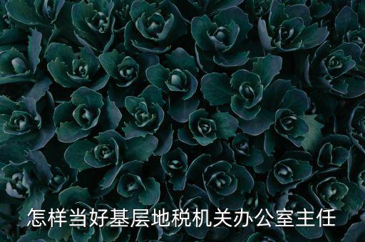 稅務部門如何抓好主體責任，如何做好稅收法規(guī)工作
