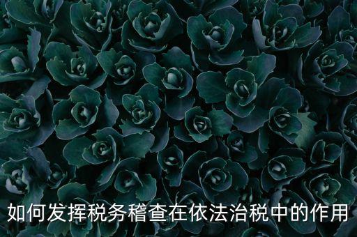 稽查部門如何優(yōu)化稅收營商環(huán)境，如何充分發(fā)揮稽查職能作用更好服務于全省稅收征管工作發(fā)展大局