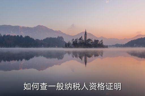如何查一般納稅人資格，如何查一般納稅人資格證明