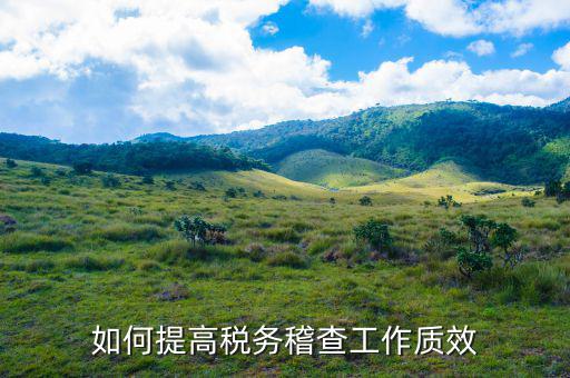 如何提高國稅稽查工作質(zhì)效，如何提高稅務稽查工作質(zhì)效