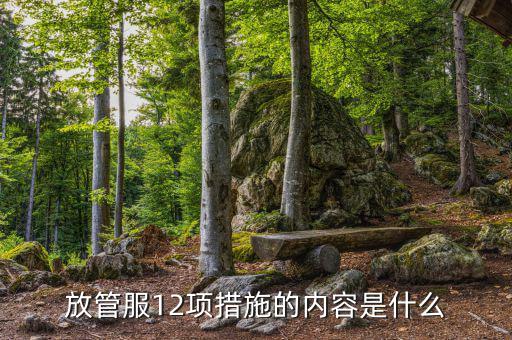 在放管服中如何加強(qiáng)審計(jì)稽察，放管服12項(xiàng)措施的內(nèi)容是什么