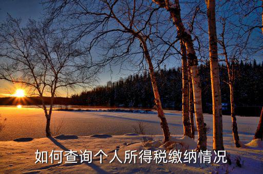 如何查詢自己交稅情況，個人繳稅記錄怎么查詢