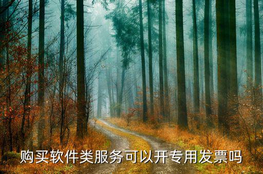 購買軟件類服務可以開專用發(fā)票嗎
