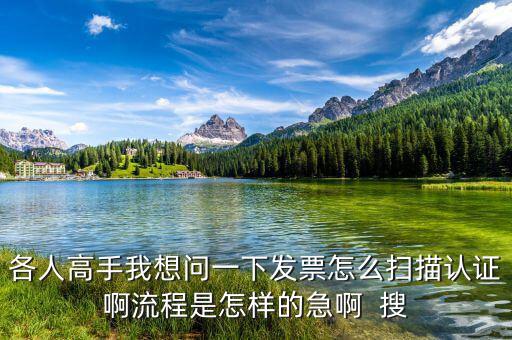 如何掃描認(rèn)證發(fā)票，各人高手我想問(wèn)一下發(fā)票怎么掃描認(rèn)證啊流程是怎樣的急啊  搜