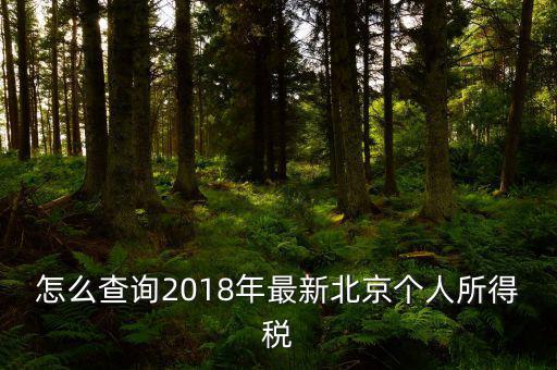 北京如何查詢個(gè)稅完稅證明，怎么查詢2018年最新北京個(gè)人所得稅