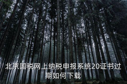 北京國稅網(wǎng)站如何更新，如何在國稅網(wǎng)上更新公司的信息