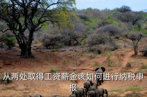 多出取得工資 如何申報個稅，個人多處取得所得如何申報繳納個稅