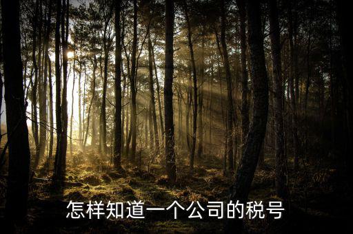 單位稅號如何查詢，知道公司名字怎么查稅號嗎