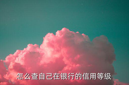 如何查納稅人信用等級，如何確認企業(yè)為納稅信用A級增值稅一般納稅人