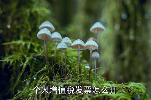 個人如何開增值稅普票，開增值稅普通發(fā)票個人怎么開