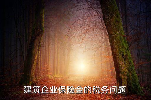 保險(xiǎn)公司稅務(wù)管理如何處理，建筑企業(yè)保險(xiǎn)金的稅務(wù)問題