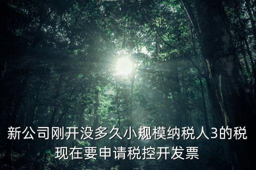 如何申請稅控和發(fā)票，怎樣申請發(fā)票和裝稅控