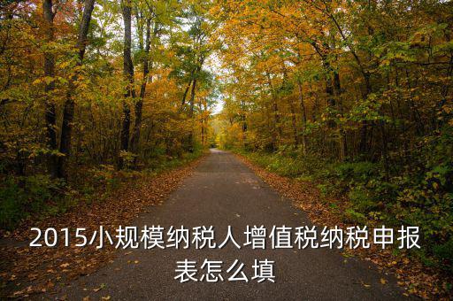 小規(guī)模納稅人國稅申報(bào)表如何填，小規(guī)模納稅人的報(bào)表怎么填