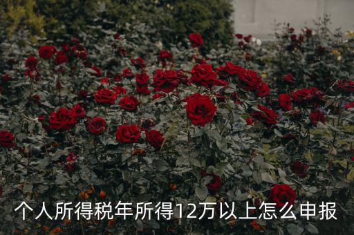 陜西地稅 12萬(wàn)以上如何申報(bào)，個(gè)人所得稅年所得12萬(wàn)以上怎么申報(bào)