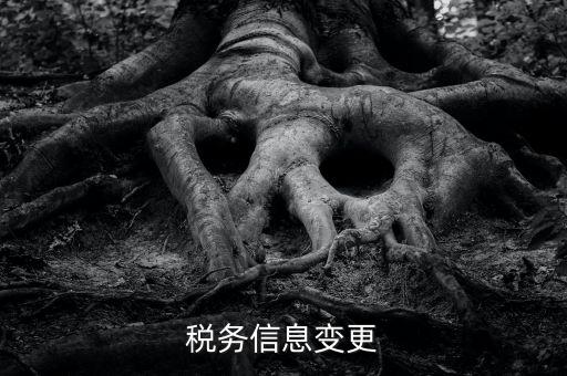 地稅如何變更人員信息查詢，浙江地稅開(kāi)票軟件開(kāi)票人怎么更改