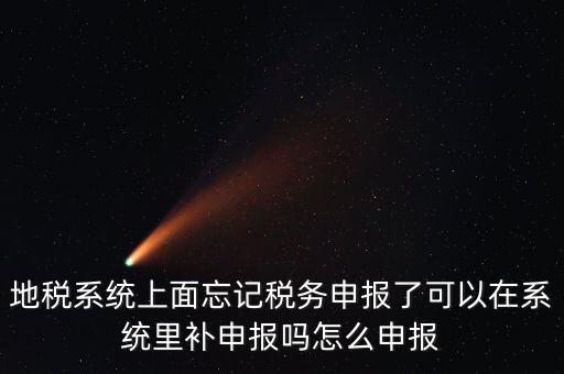 地稅如何補充申報表，地稅系統(tǒng)上面忘記稅務(wù)申報了可以在系統(tǒng)里補申報嗎怎么申報