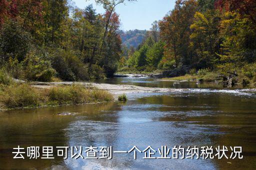 如何查詢企業(yè)納稅，去哪里可以查到一個(gè)企業(yè)的納稅狀況