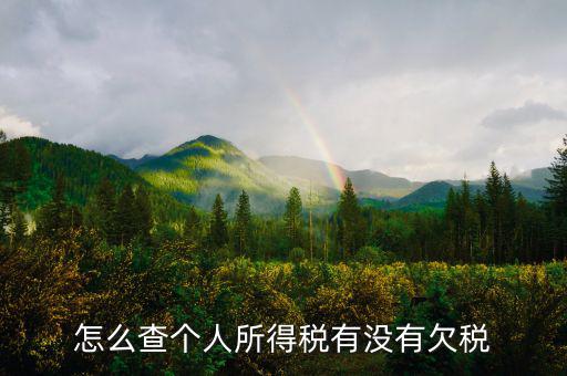 個(gè)人企業(yè)如何查欠稅啊，個(gè)體工商戶(hù)怎么查詢(xún)是否欠稅