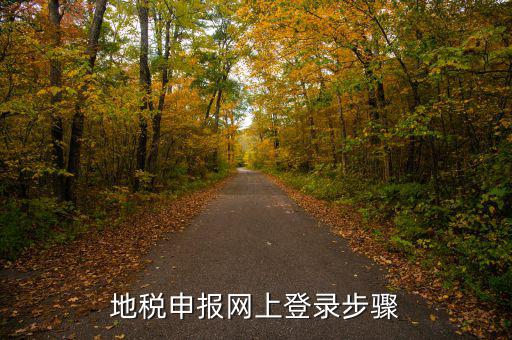 廣西國稅地稅如何網(wǎng)上申報，稅務申報如何網(wǎng)上申報