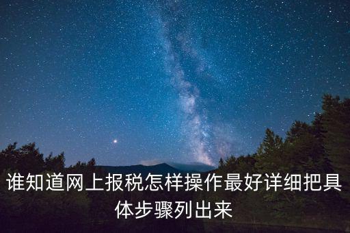 如何進(jìn)行網(wǎng)上納稅申報，如何進(jìn)行網(wǎng)上申報稅款