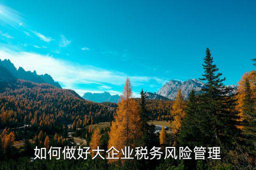 如何加強(qiáng)對(duì)重點(diǎn)企業(yè)的稅務(wù)管理，加強(qiáng)大企業(yè)的稅收管理有何良策