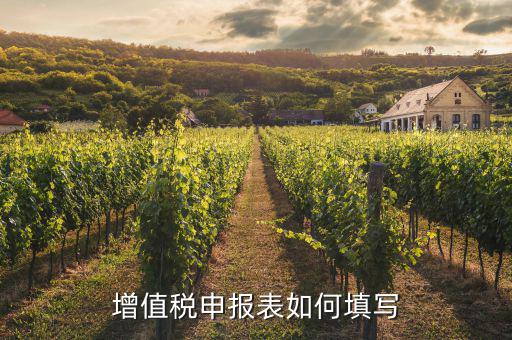 增值稅納稅申報(bào)表如何填列，增值稅申報(bào)表如何填寫(xiě)